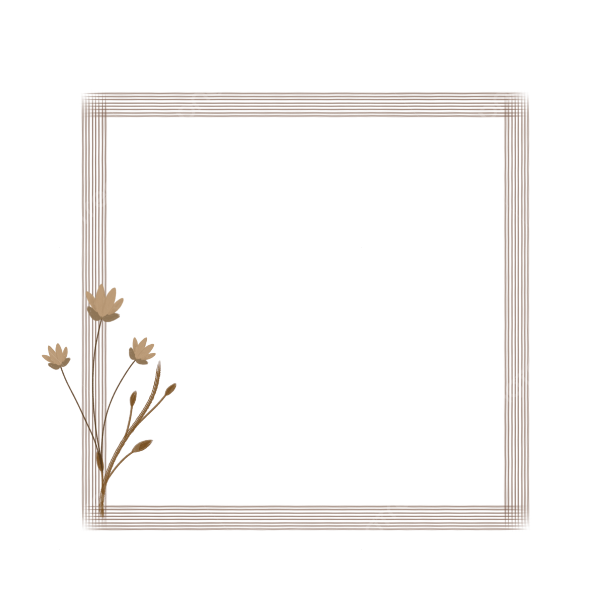 Aesthetic Picture Frame Png Infoupdate