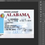 Alabama Driver License USA
