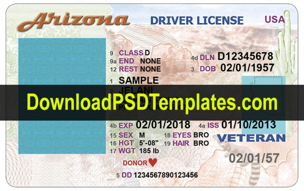 Awesome Blank Drivers License Template Ca Drivers License Drivers
