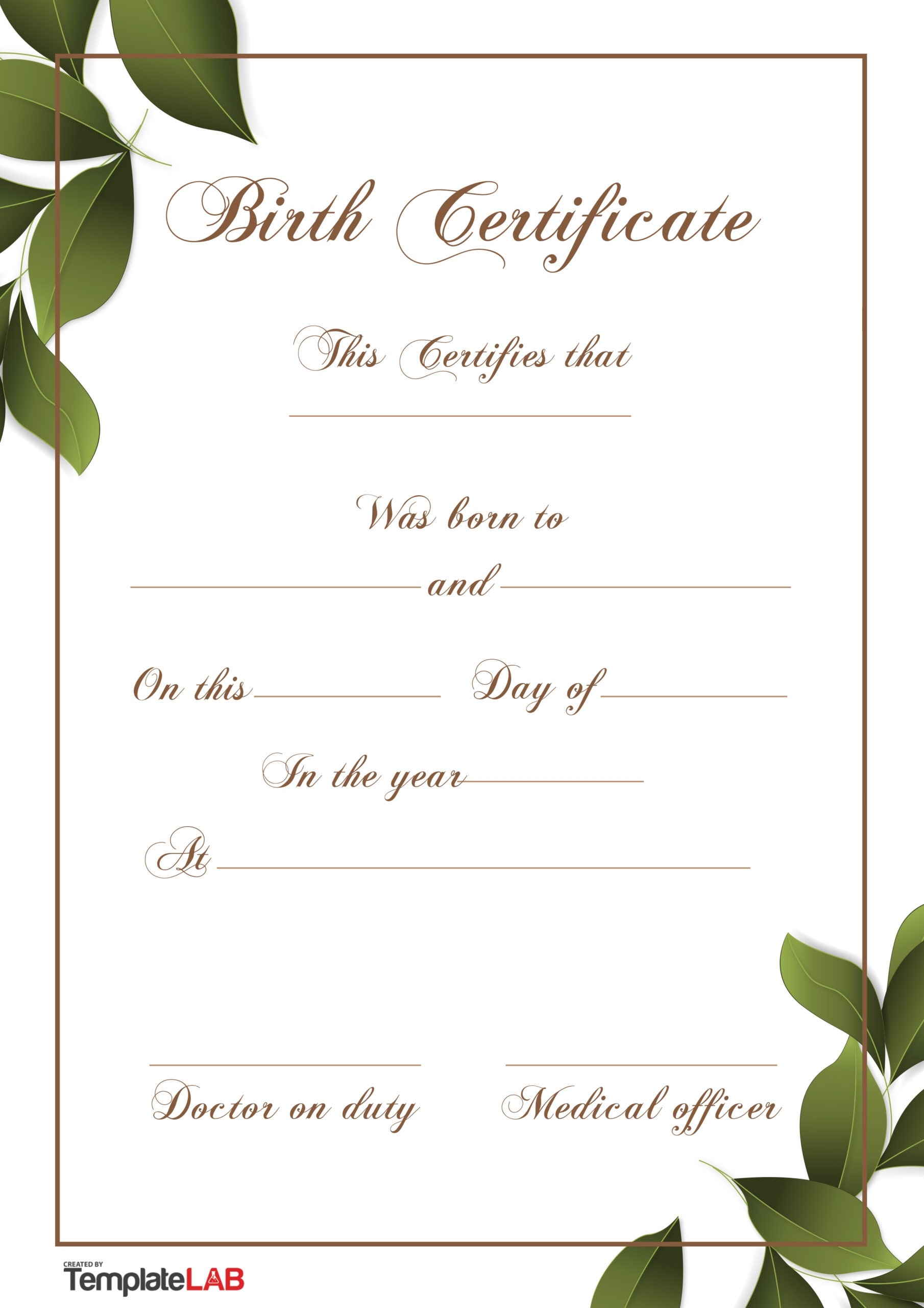 Birth Certificate Cheat Sheet