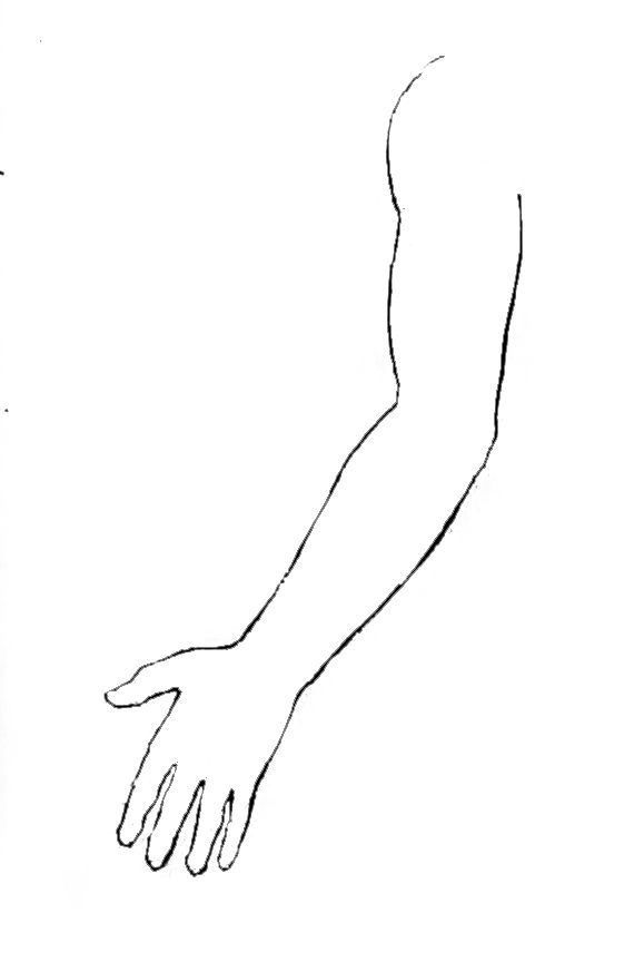 Blank Forearm Tattoo Template Artofit