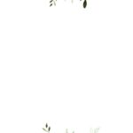 Blank Invitation Templates Free Printable Keski