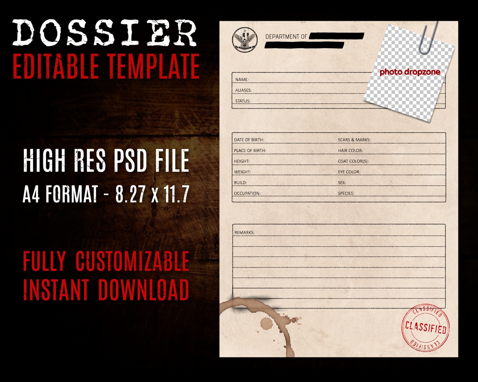 Blank Case File Templates