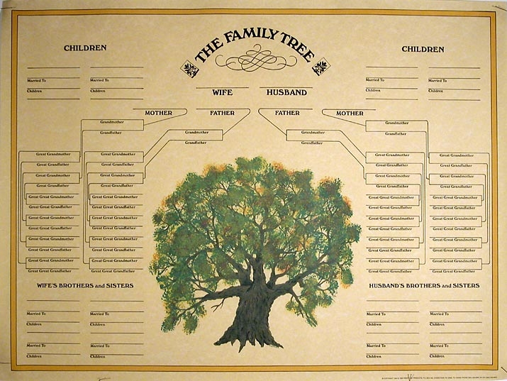 Cher Shots Family Tree