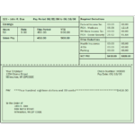 Direct Deposit Pay Stub Template FREE DOWNLOAD Excel Templates