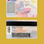 Download The Blank Texas Driver License Template Editable 16655836