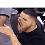 Drake Blank Template Imgflip