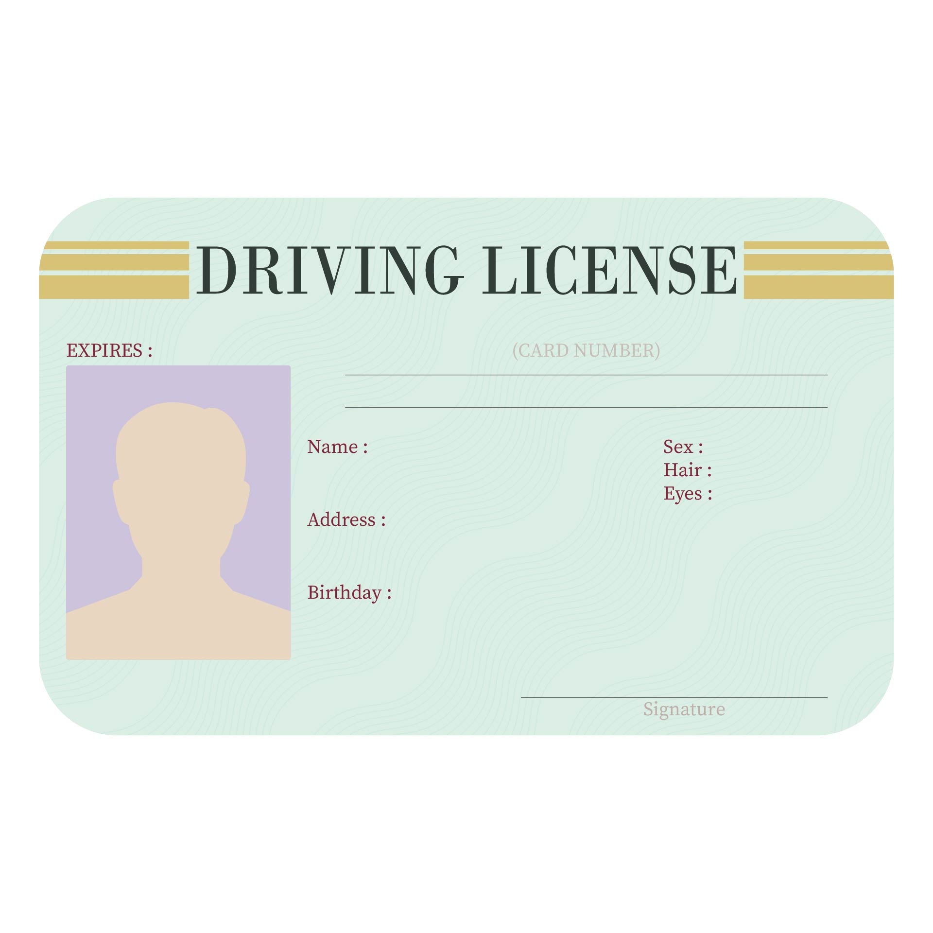 Driver License Templates Fillable