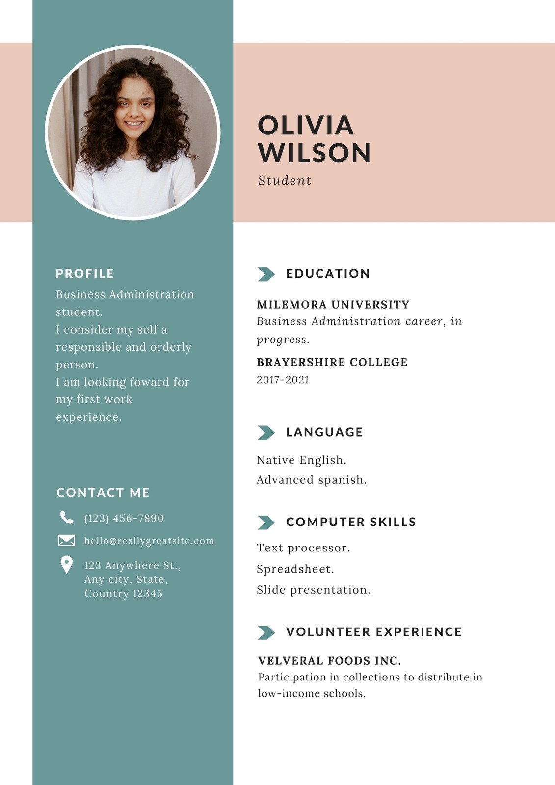 Blank Templates Free Pdf For Resumes