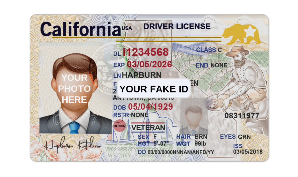 Fake Roblox ID Your Fake ID Templates