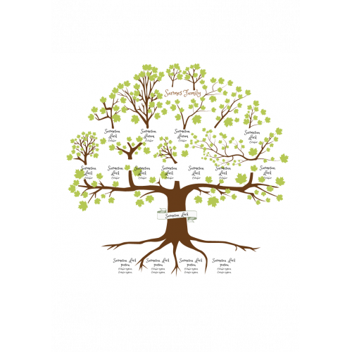 Family Tree Templates Where You Can Add Blanks