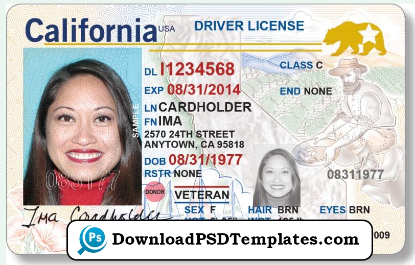 Free Ohio Drivers License Template Daysnsa