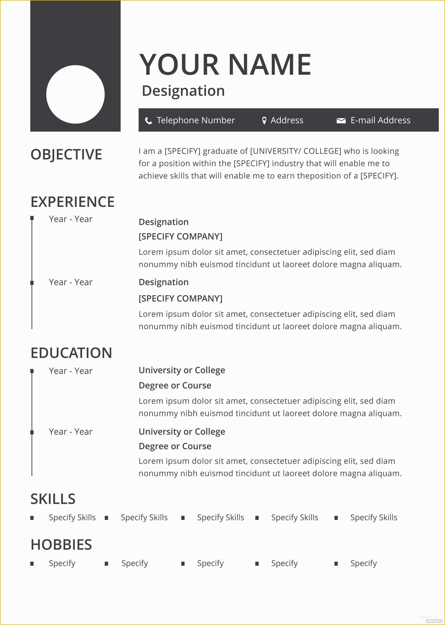 Blank Resume Templates Printable