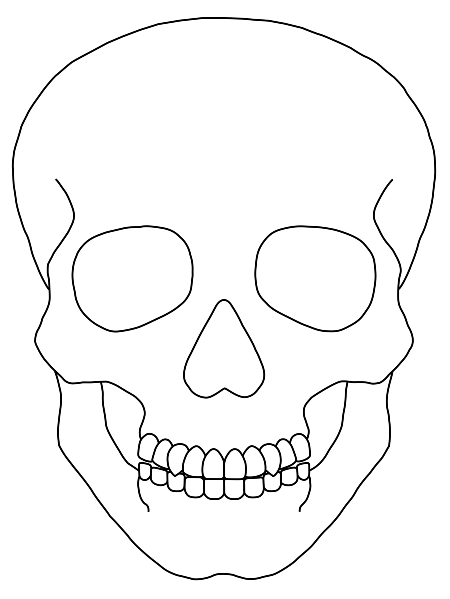 Free Simple Skull Drawing Download Free Simple Skull Drawing Png