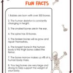 Free Skeletal System Printable Work Sheets Skeletal System Printable
