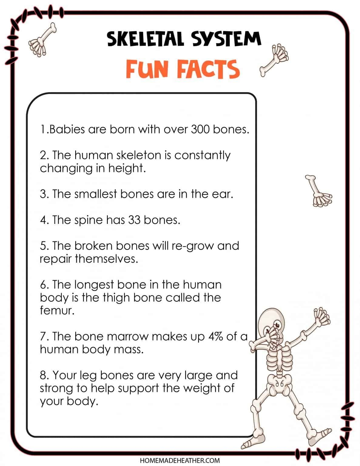 Free Skeletal System Printable Work Sheets Skeletal System Printable