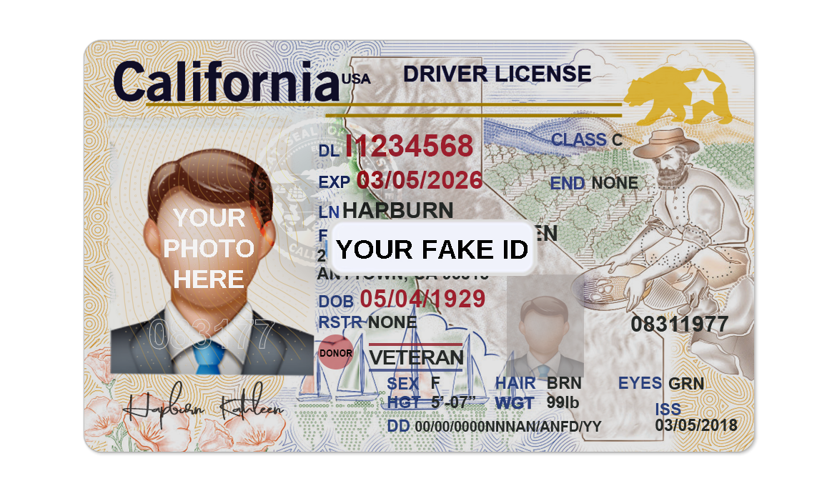 Id For Roblox Your Fake ID