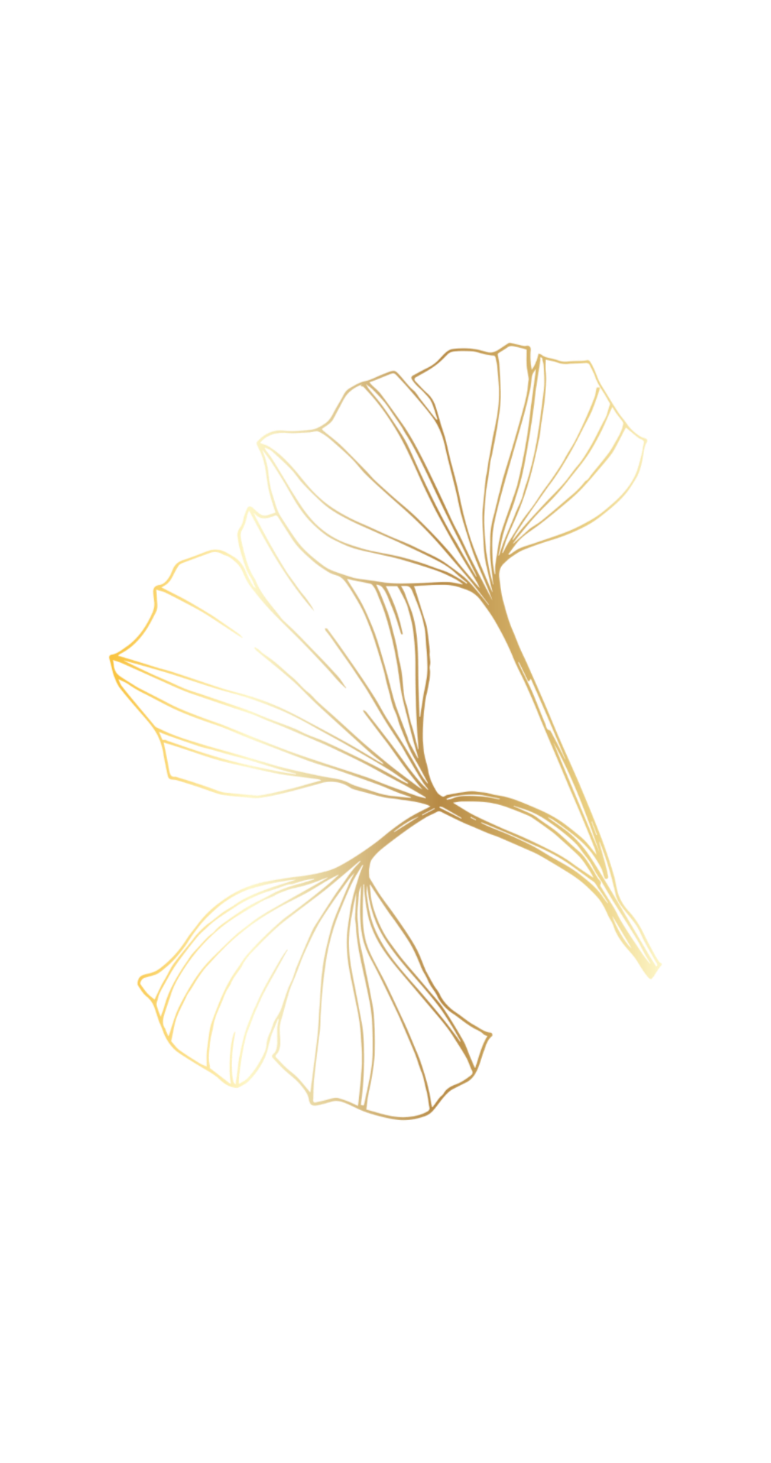 Leaf Illustration On Paper Background