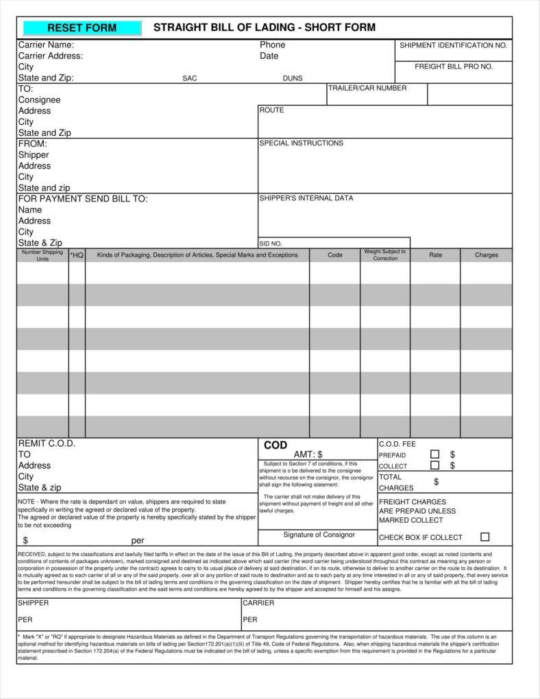Master Bill Of Lading Template