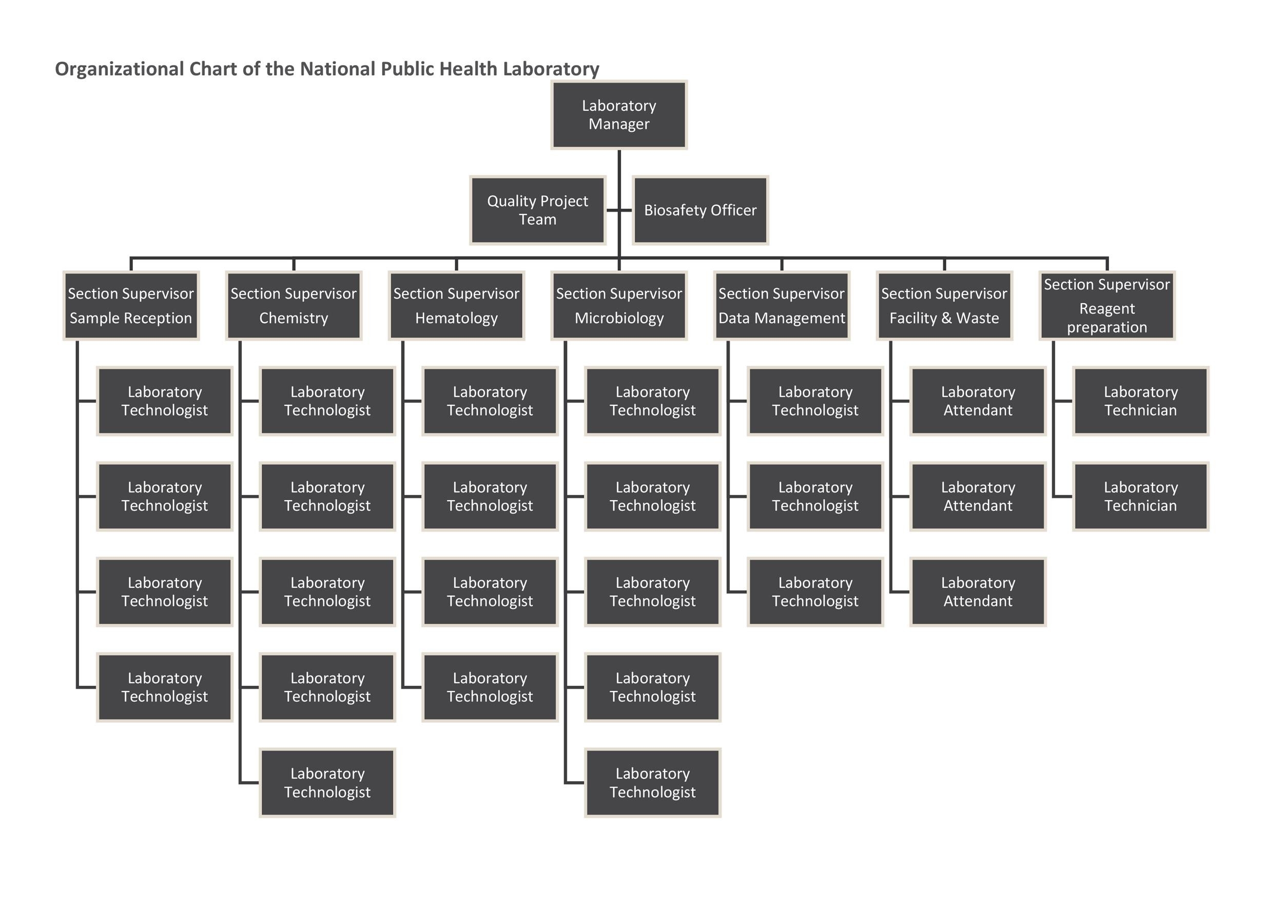 Blank Organizational Chart Templates Word