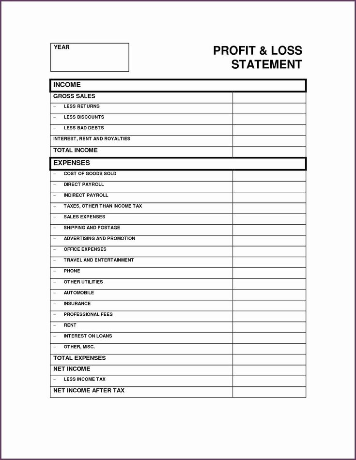 P And L Statement Template Inspirational P L Statement Template