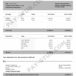 PayStub Templates Pay Stub
