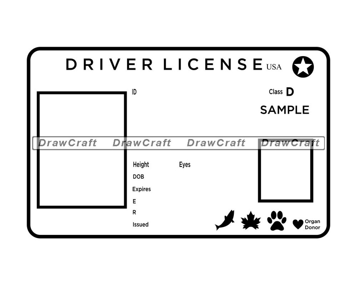 Printable Blank Drivers License Template Free Download Nude Photo Gallery
