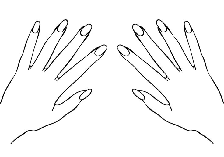 Blank Coffin Nail Templates