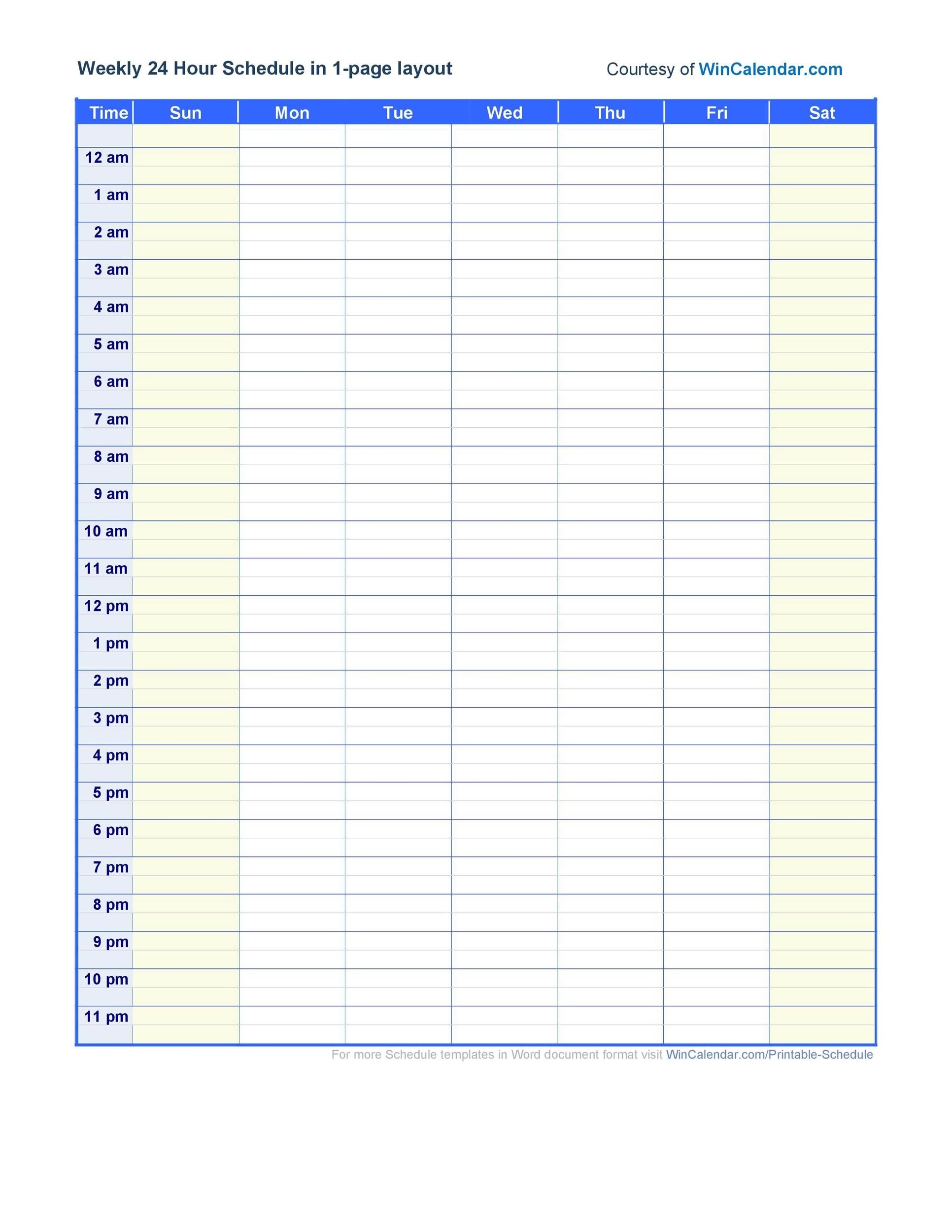Printable Daily Hourly Planner