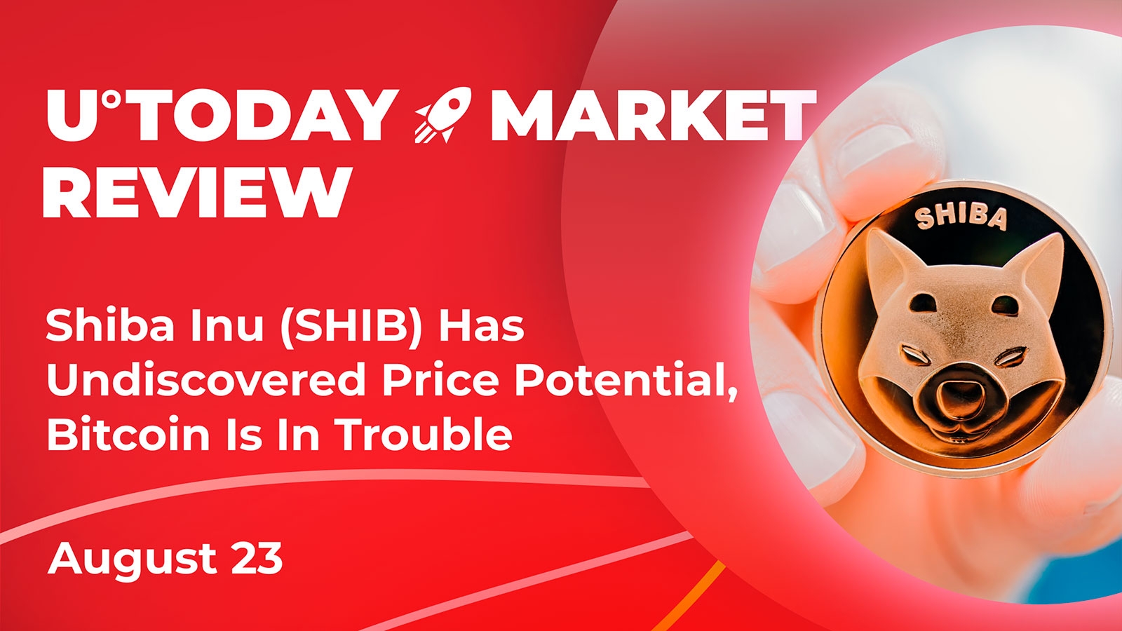Shiba Inu SHIB Has Undiscovered Price Potential Crypto Market Review
