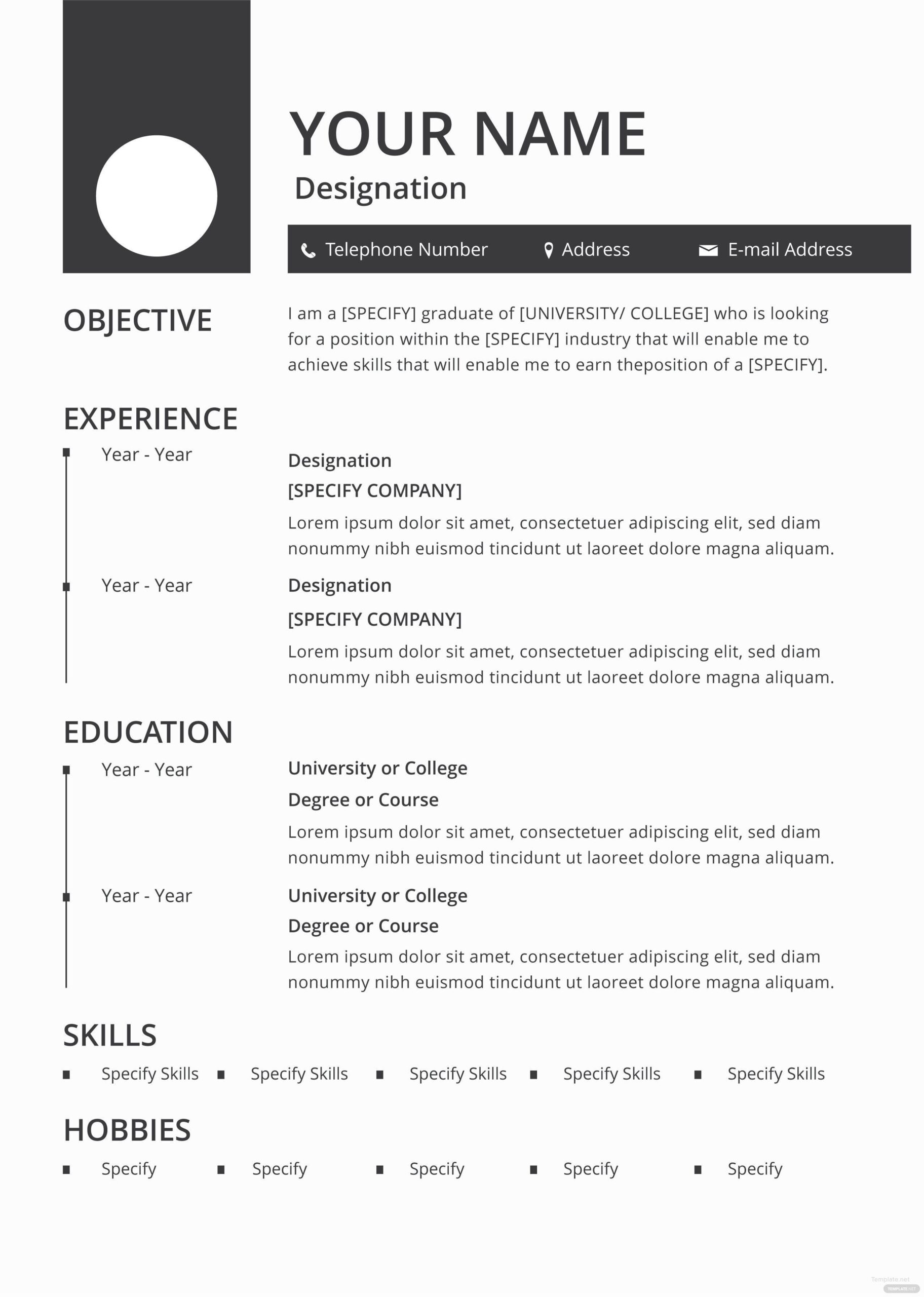 Template Resume Pdf Abilify14