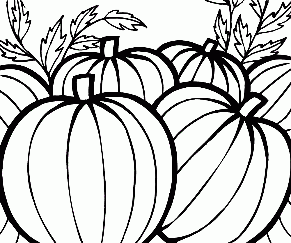 Thanksgiving Day Coloring Pages Kids Adults Print Color Craft