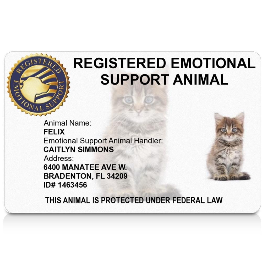 Blank Esa Certificate Templates