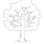Tree Template Tim S Printables