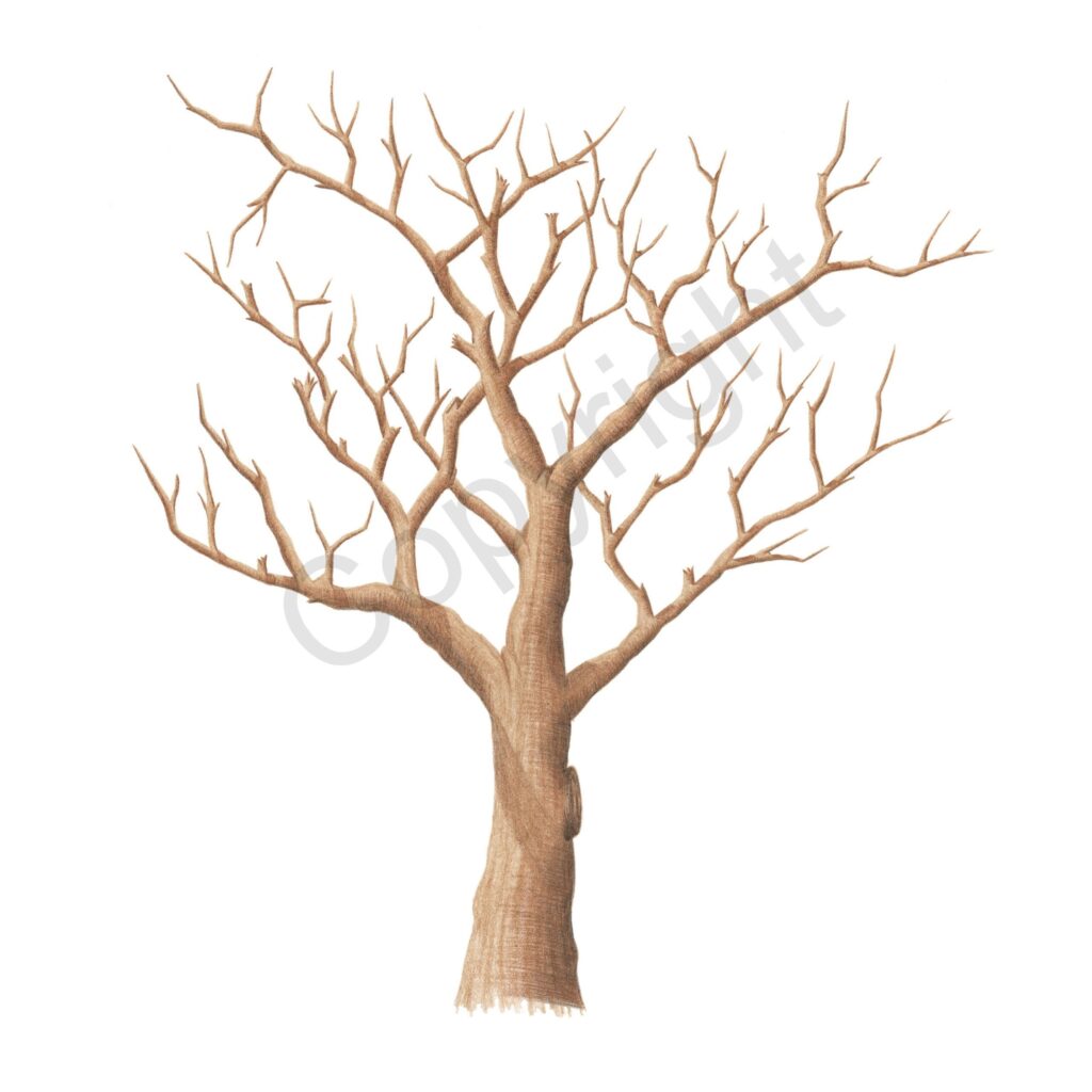 Wedding Fingerprint Tree Guest Book