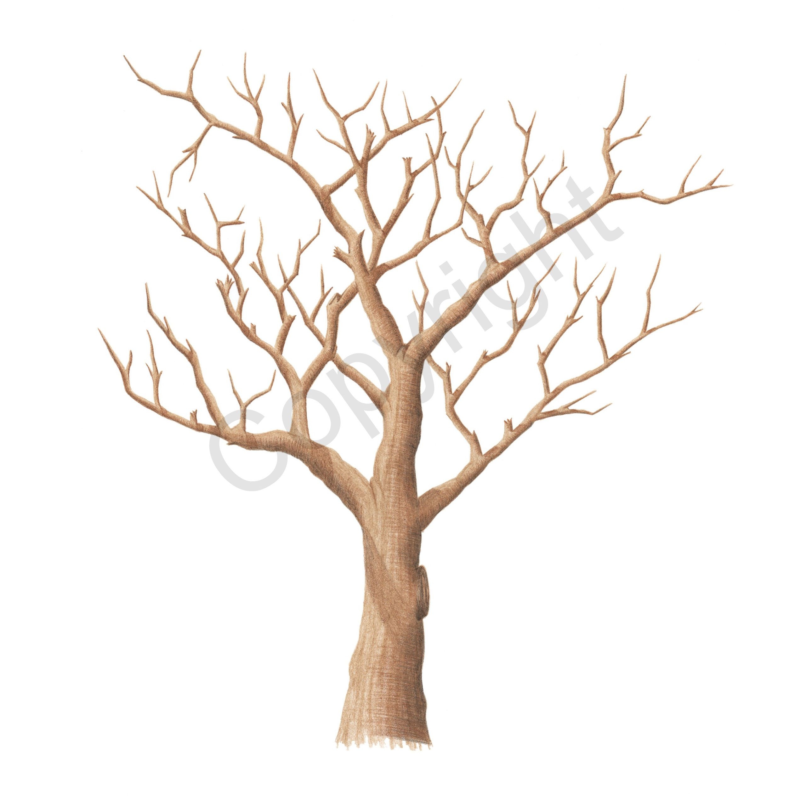 Wedding Fingerprint Tree Guest Book